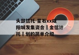 头部信托-星石xx咸阳城发集资合‬金信计托‬划的简单介绍