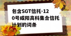 包含SGT信托-120号咸阳高科集合信托计划的词条