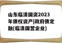 山东临清国资2023年债权资产|政府债定融(临清国营企业)