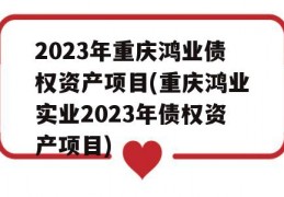 2023年重庆鸿业债权资产项目(重庆鸿业实业2023年债权资产项目)