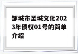 邹城市圣城文化2023年债权01号的简单介绍