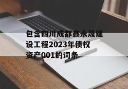 包含四川成都鑫永晟建设工程2023年债权资产001的词条