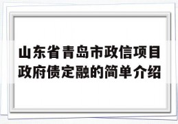 山东省青岛市政信项目政府债定融的简单介绍