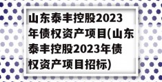 山东泰丰控股2023年债权资产项目(山东泰丰控股2023年债权资产项目招标)