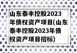 山东泰丰控股2023年债权资产项目(山东泰丰控股2023年债权资产项目招标)