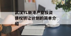 武汉YL新港产业投资债权转让计划的简单介绍