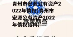 青州市宏源公有资产2022年债权(青州市宏源公有资产2022年债权结构)