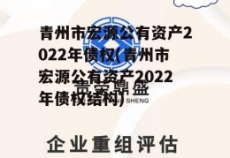 青州市宏源公有资产2022年债权(青州市宏源公有资产2022年债权结构)