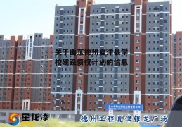 关于山东德州夏津县学校建设债权计划的信息