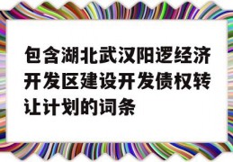 包含湖北武汉阳逻经济开发区建设开发债权转让计划的词条