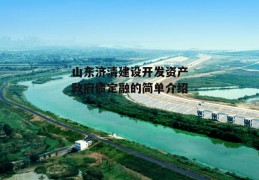 山东济清建设开发资产政府债定融的简单介绍