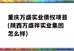 重庆万盛实业债权项目(陕西万盛祥实业集团怎么样)