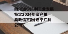 四川遂宁广利工业发展特定2024年资产拍卖政信定融(遂宁广利公司)