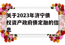 关于2023年济宁债权资产政府债定融的信息