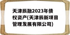 天津辰融2023年债权资产(天津辰新项目管理发展有限公司)