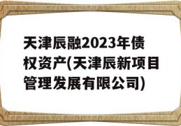 天津辰融2023年债权资产(天津辰新项目管理发展有限公司)