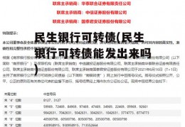 民生银行可转债(民生银行可转债能发出来吗)