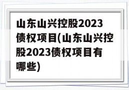 山东山兴控股2023债权项目(山东山兴控股2023债权项目有哪些)