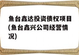 鱼台鑫达投资债权项目(鱼台鑫兴公司经营情况)