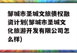 邹城市圣城文旅债权融资计划(邹城市圣城文化旅游开发有限公司怎么样)