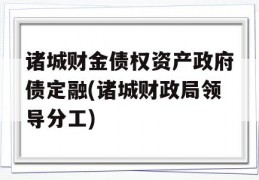 诸城财金债权资产政府债定融(诸城财政局领导分工)