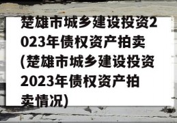 楚雄市城乡建设投资2023年债权资产拍卖(楚雄市城乡建设投资2023年债权资产拍卖情况)