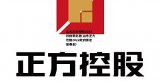 山东正方控股2022政府债定融(山东正方控股2022政府债定融基金)