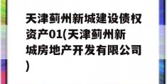 天津蓟州新城建设债权资产01(天津蓟州新城房地产开发有限公司)