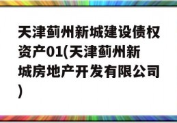 天津蓟州新城建设债权资产01(天津蓟州新城房地产开发有限公司)