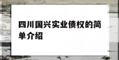 四川国兴实业债权的简单介绍