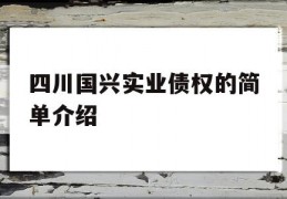 四川国兴实业债权的简单介绍