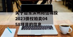 关于山东滨州阳信城投2023债权拍卖0458项目的信息