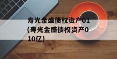 寿光金盛债权资产01(寿光金盛债权资产010亿)