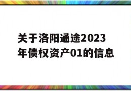 关于洛阳通途2023年债权资产01的信息