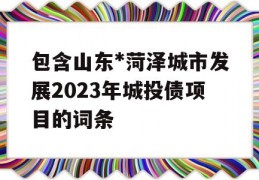 包含山东*菏泽城市发展2023年城投债项目的词条