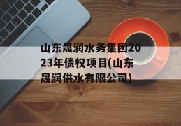 山东晟润水务集团2023年债权项目(山东晟润供水有限公司)