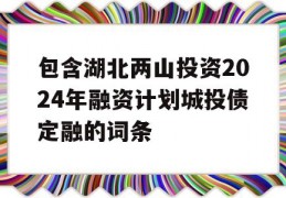 包含湖北两山投资2024年融资计划城投债定融的词条