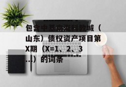 包含中基南海科教城（山东）债权资产项目第X期（X=1、2、3...）的词条