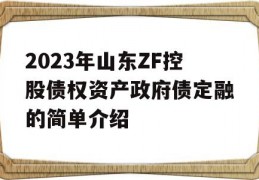 2023年山东ZF控股债权资产政府债定融的简单介绍