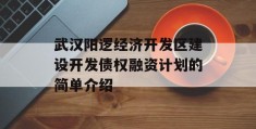 武汉阳逻经济开发区建设开发债权融资计划的简单介绍