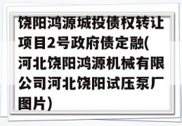 饶阳鸿源城投债权转让项目2号政府债定融(河北饶阳鸿源机械有限公司河北饶阳试压泵厂图片)