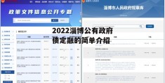 2022淄博公有政府债定融的简单介绍