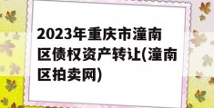 2023年重庆市潼南区债权资产转让(潼南区拍卖网)