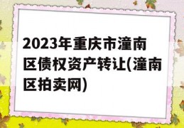 2023年重庆市潼南区债权资产转让(潼南区拍卖网)