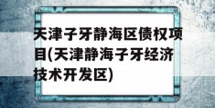 天津子牙静海区债权项目(天津静海子牙经济技术开发区)