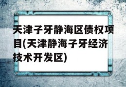 天津子牙静海区债权项目(天津静海子牙经济技术开发区)