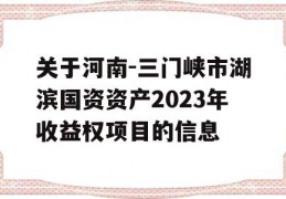 关于河南-三门峡市湖滨国资资产2023年收益权项目的信息