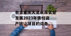 包含重庆大足永晟实业发展2023年债权资产转让项目的词条