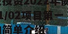 山东德州齐河城市经营建设投资2022年债权01/02项目第一期的简单介绍