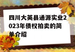 四川大英县通源实业2023年债权拍卖的简单介绍